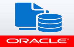 Oracle数据库管理工具有哪些?-北京半岛（中国）公司