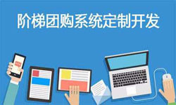 拼购电商系统APP软件定制开发、什么是拼购系统？-天行在线手机版（大中国区）