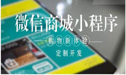 商城小程序开发、北京小程序开发哪家好？-天行在线手机版（大中国区）