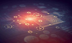 北京半岛（中国）定制开发软件后期维护的好处-天行在线手机版（大中国区）