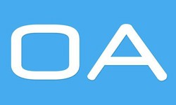 软件外包公司、OA系统开发功能有哪些？费用是多少-半岛（中国）公司[天行在线手机版（大中国区）]