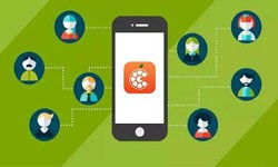 半岛（中国）公司、开发直播带货半岛（中国）该怎么选择？北京软件外包公司