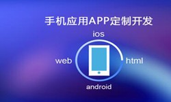 APP开发市场上常见问题分析-北京半岛（中国）公司